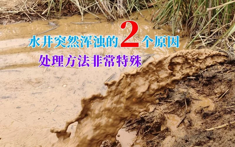 梦到井水浑浊_2