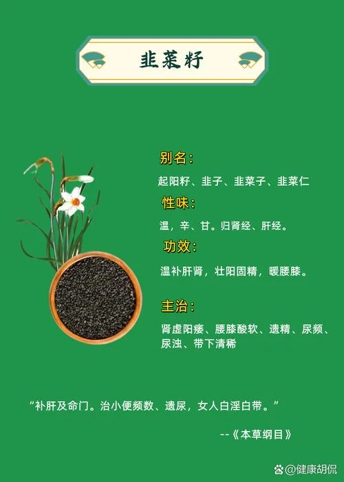 韭菜籽能壮阳吗怎么用_1