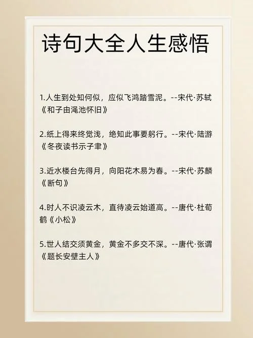 人生感悟诗句励志-励志人生感悟诗句