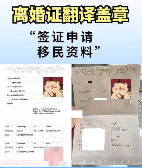 离婚证证号怎么查_2