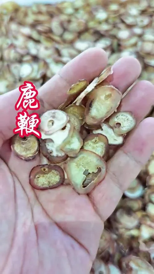 鹿鞭什么人不适合吃-鹿鞭什么人不能吃