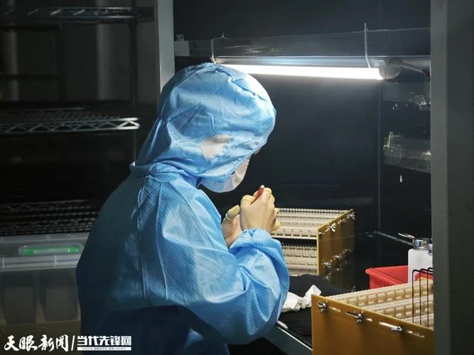 新蒲工业园区企业简介-新蒲园区企业简介