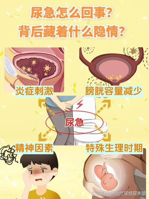 梦到尿急_1
