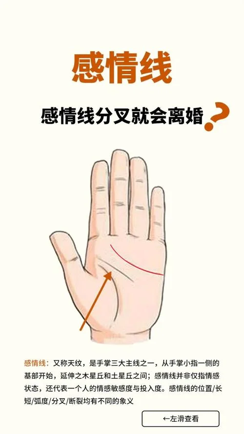 看手相_2