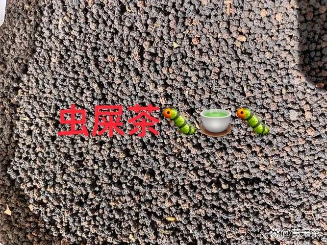 正宗虫屎茶多少钱_1