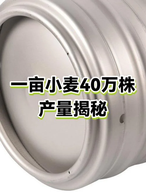 一亩地可以产多少小麦_1