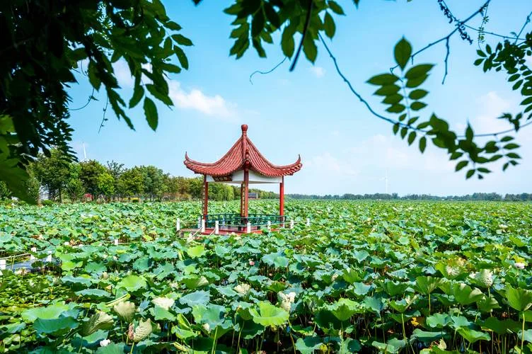 江苏旅游小众景点大全-江苏小众景点全收录