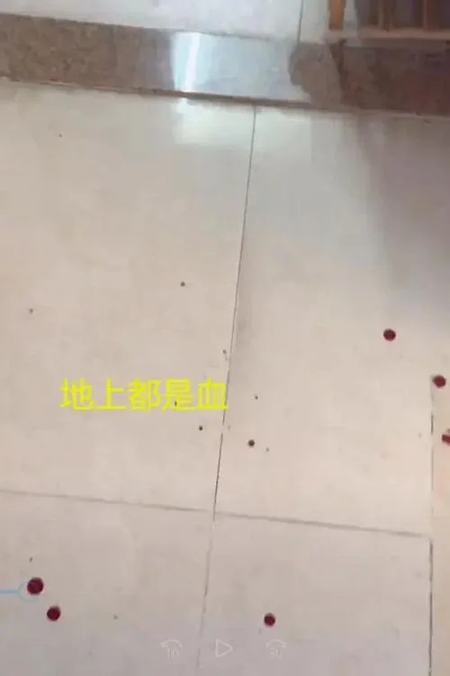 梦见地上一大片血是什么意思_2