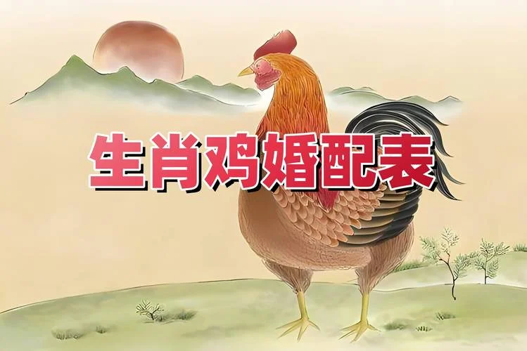属鸡和什么属相不合财-属鸡与不合财属相相冲