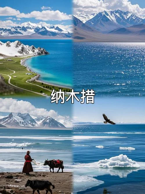 去西藏旅游一次大概多少钱_1