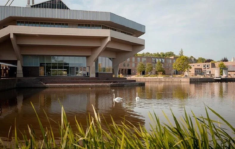 英国约克大学中国人_1