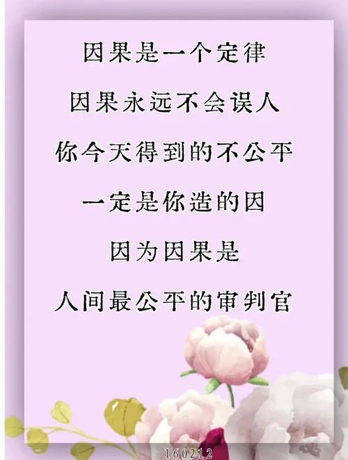 因果会循环的感情感悟_2