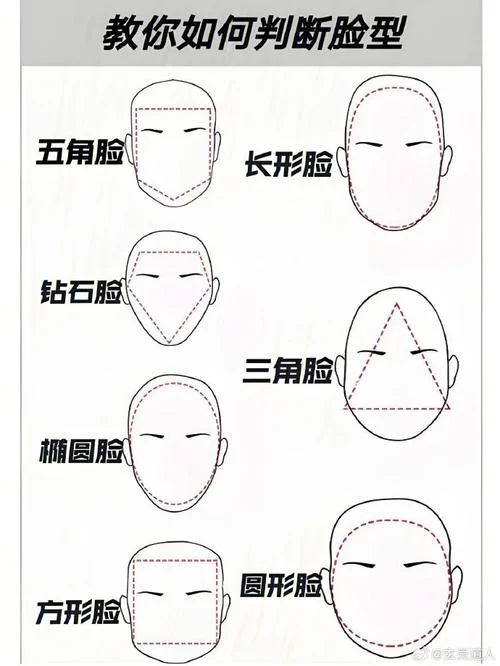 脸的两边叫什么-脸两侧名称