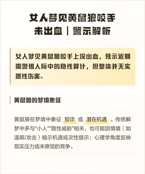 梦见被黄鼠狼追是什么预兆_1