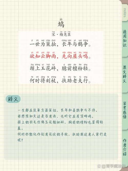 鹑怎么读拼音怎么写_1