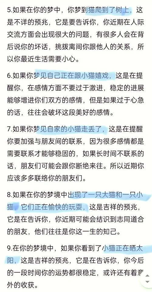 梦见捡到小猫崽是什么意思-梦见捡到小猫崽寓意