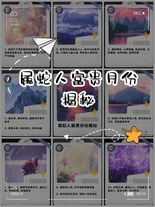蛇年蛇月蛇时出生是什么命_1