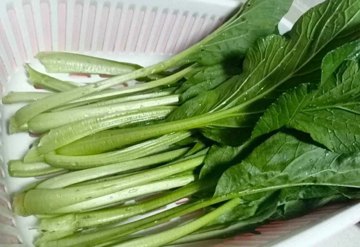 梦见拔青菜是什么意思_1