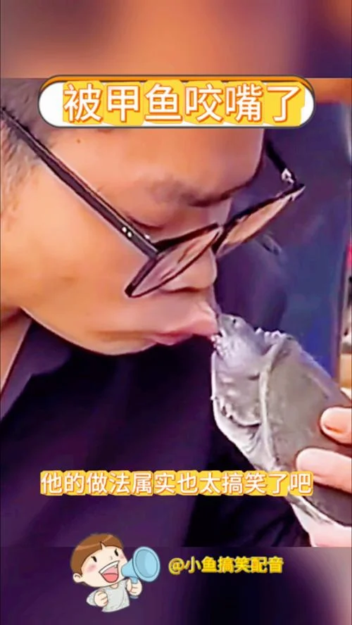 梦见被甲鱼咬手是什么意思_2