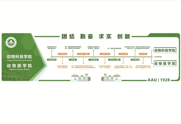 公司沿革是什么意思_1