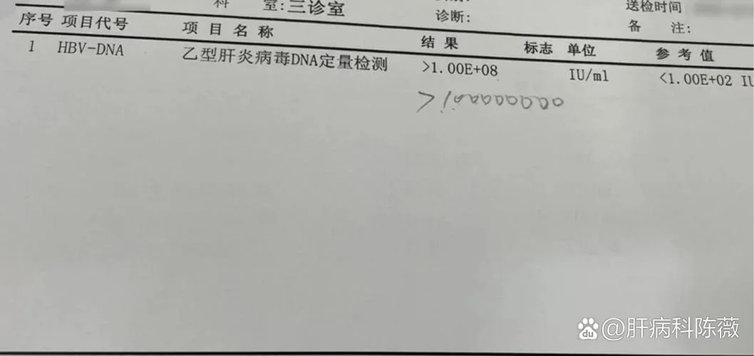 hbvdna检测多少钱_1