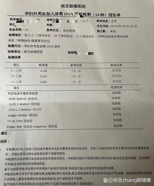 深圳无创dna多少钱_1