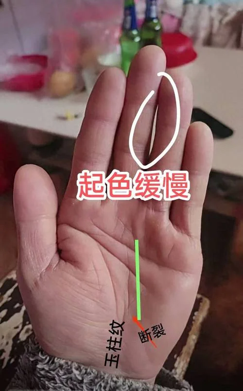 x纹手相-x纹手相关键词