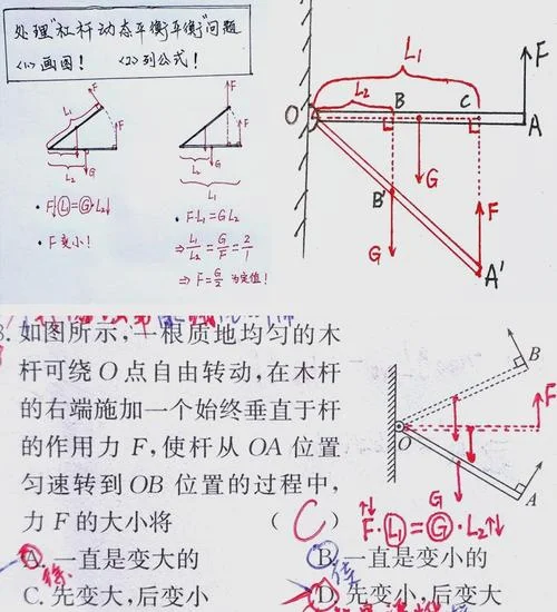 作图并说明雷布津斯基定理_1