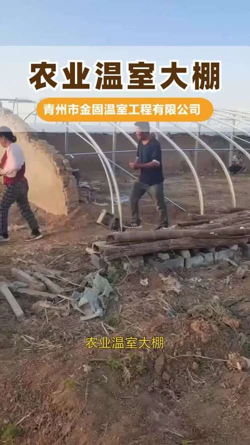 农业大棚建一个多少钱_2