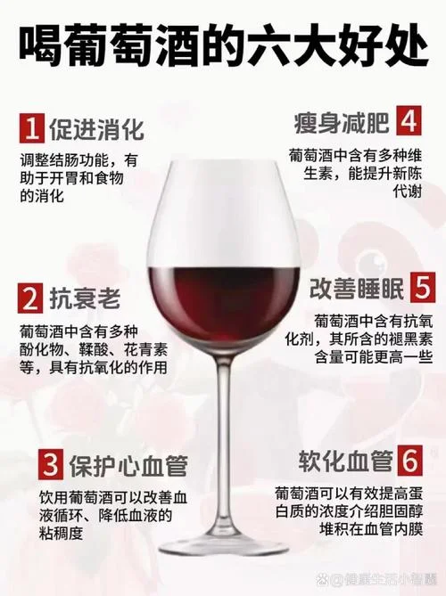 红葡萄酒怎么做好喝_1