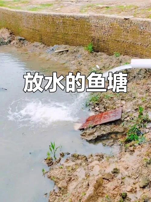 梦见鱼塘防水别人捕鱼_1