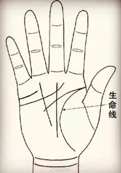 男人手相生命线短_2