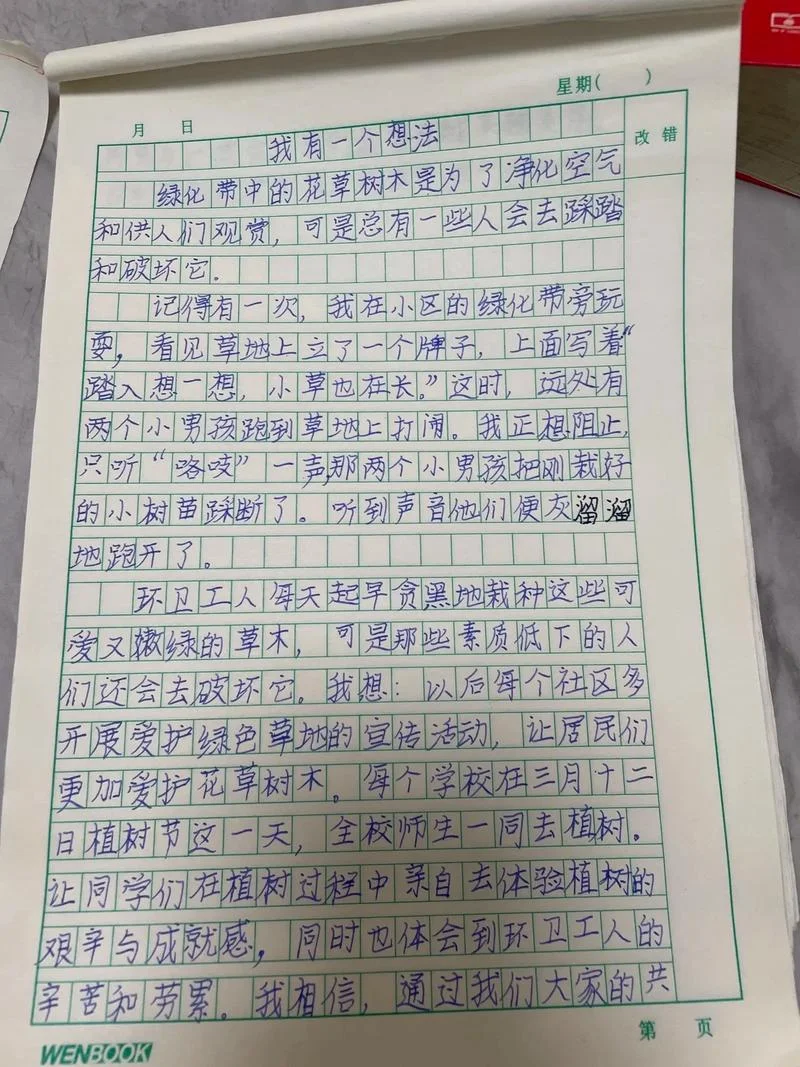 小学写事的作文_1
