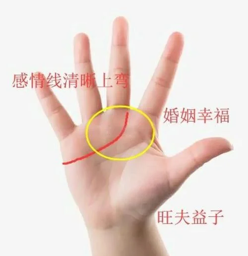 给女人看手相速成-女人看手相速成