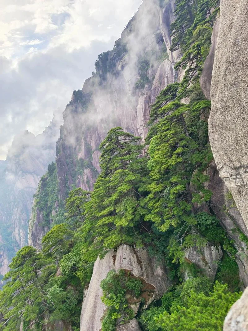 几月到黄山旅游好-黄山黄山旅游好