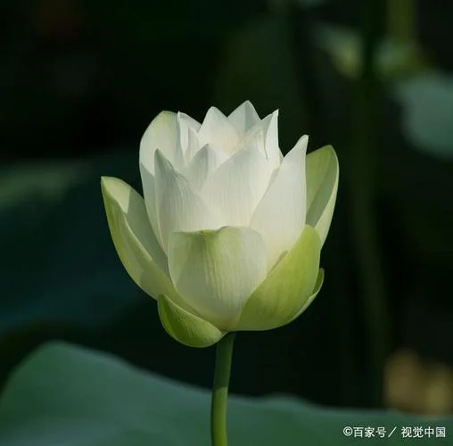 十界梦见_1