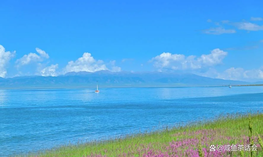 几月份去青海湖合适_1