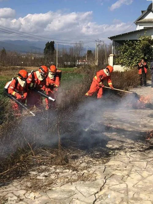 梦见到处起火自己在扑火_1