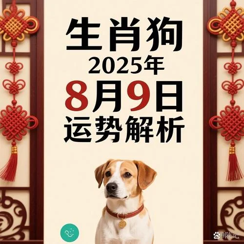属狗的交运忌什么属相-属狗生肖忌冲马