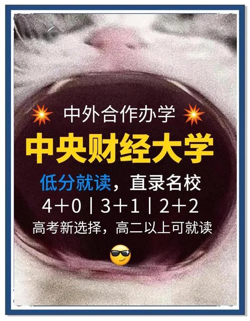 中央财经大学中外合作办学项目_1