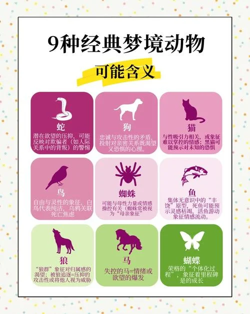 梦见踩到蛇预示着什么_1