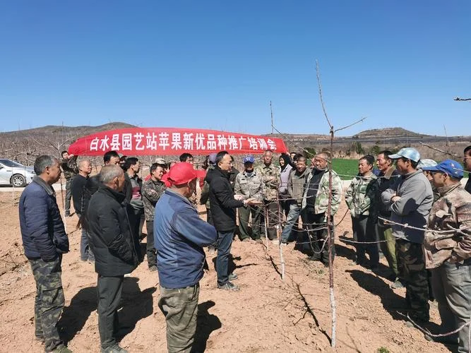 陕西白水县简介-陕西白水县简介
