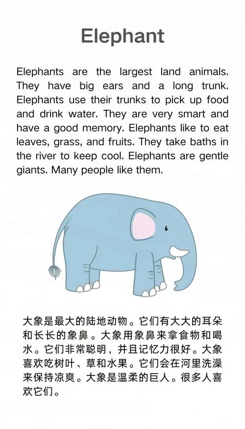 澳大利亚考拉英文介绍_1