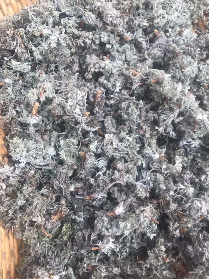 茵陈茶什么人不能喝_1