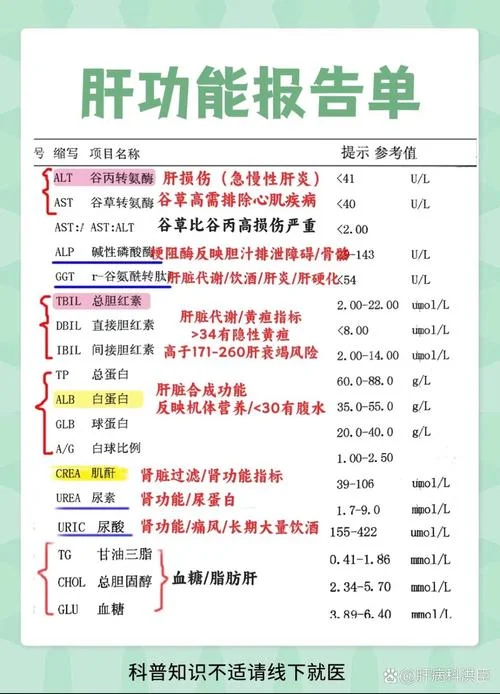 肝功能检查一次多少钱_1