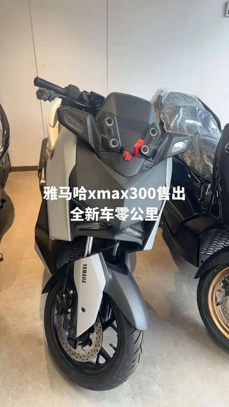 xmax300落地多少钱_1