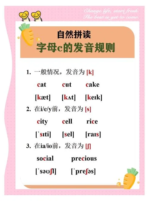 c在数学公式中表示什么_1