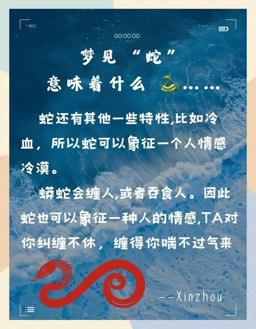 梦见好多毒蛇是什么意思_1