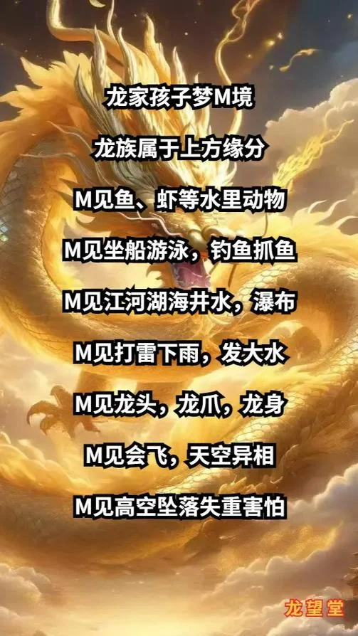 梦见玩龙_2