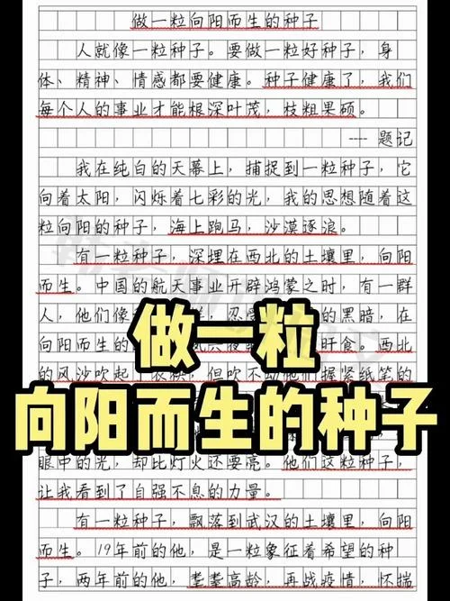 希望的种子文案作文_2